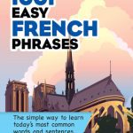 خرید و دانلود نسخه کامل کتاب 1001 Easy French Phrases