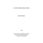 خرید و دانلود نسخه کامل کتاب A Ch’orti’ morphological sketch