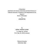 خرید و دانلود نسخه کامل کتاب A grammar of Bhojpuri