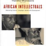 خرید و دانلود نسخه کامل کتاب African Intellectuals: Rethinking Politics, Language, Gender and Development (Africa in the New Millennium)