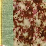 خرید و دانلود نسخه کامل کتاب Alfabeto quechua cuidadosamente revisado y aprobado por el ‘Ateneo’ de cicha lengua