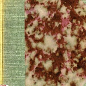 خرید و دانلود نسخه کامل کتاب Alfabeto quechua cuidadosamente revisado y aprobado por el ‘Ateneo’ de cicha lengua