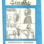 خرید و دانلود نسخه کامل کتاب An Intensive Course in Sindhi