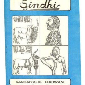 خرید و دانلود نسخه کامل کتاب An Intensive Course in Sindhi