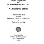 خرید و دانلود نسخه کامل کتاب Boro dialects of Brahmaputra valley: a linguistic study