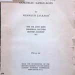 خرید و دانلود نسخه کامل کتاب Common Gaelic: The Evolution of the Goedelic Languages