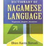 خرید و دانلود نسخه کامل کتاب Dictionary of Nagamese language. Nagamese-English-Assamese [introductory pages ONLY]
