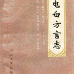 خرید و دانلود نسخه کامل کتاب 电白方言志