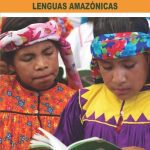 خرید و دانلود نسخه کامل کتاب Estudio sociolingüístico de lenguas amazónicas