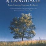 خرید و دانلود نسخه کامل کتاب Foundations of Language: Brain, Meaning, Grammar, Evolution