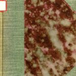 خرید و دانلود نسخه کامل کتاب Guía para estranjeros de Chililaya a La Paz