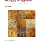 خرید و دانلود نسخه کامل کتاب Hieroglyphic Egyptian: An Introduction to the Language and Literature of the Middle Kingdom