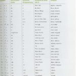 خرید و دانلود نسخه کامل کتاب Jasno! A1-A2: Russisch für Anfänger. Lehrbuch