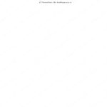 خرید و دانلود نسخه کامل کتاب La lengua de Adán y El hombre de Tiahuanaco [1888]