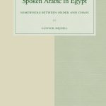خرید و دانلود نسخه کامل کتاب Mixed Styles in Spoken Arabic in Egypt: Somewhere Between Order and Chaos (Studies in Semitic Languages and Linguistics)