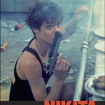 خرید و دانلود نسخه کامل کتاب Nikita: French Film Guide