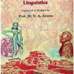 خرید و دانلود نسخه کامل کتاب Papers on Sindhi Language and Linguistics