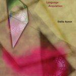 خرید و دانلود نسخه کامل کتاب Parameter Setting in Language Acquisition