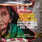 خرید و دانلود نسخه کامل کتاب Registro Nacional de Lenguas Indígenas u Originarias del Perú – Tomo I – Lenguas indígenas u originarias andinas [RENALIO]