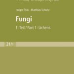 خرید و دانلود نسخه کامل کتاب Süßwasserflora von Mitteleuropa, Bd. 21 1 Freshwater Flora of Central Europe, Vol. 21 1: Fungi: 1. Teil   1st Part: Lichens (German and English Edition)