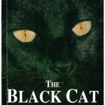 خرید و دانلود نسخه کامل کتاب The Black Cat and other stories