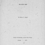 خرید و دانلود نسخه کامل کتاب The Gothic Word