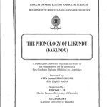 خرید و دانلود نسخه کامل کتاب The phonology of Lukundu (Bakundu)