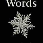 خرید و دانلود نسخه کامل کتاب The Secrets of Words