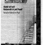 خرید و دانلود نسخه کامل کتاب Variación Dialectal en Popti’