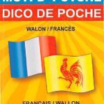 خرید و دانلود نسخه کامل کتاب Wallon-Francais (Dico de Poche)