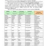 خرید و دانلود نسخه کامل کتاب 200 Starke Verben