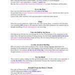 خرید و دانلود نسخه کامل کتاب 800 American idioms