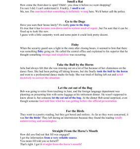 خرید و دانلود نسخه کامل کتاب 800 American idioms