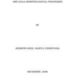 خرید و دانلود نسخه کامل کتاب A comparative analysis of English and Igala Morphological processes