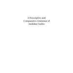 خرید و دانلود نسخه کامل کتاب A Descriptive and Comparative Grammar of Andalusi Arabic