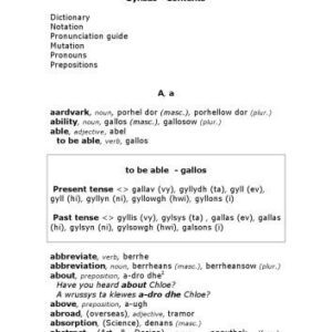 خرید و دانلود نسخه کامل کتاب A Dictionary for School – Gerlyver rag Skol (Cornish)