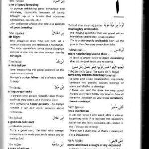 خرید و دانلود نسخه کامل کتاب A Dictionary of Idioms (Egyptian Arabic-English with an English-Egyptian Arabic Glossary)