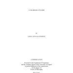 خرید و دانلود نسخه کامل کتاب A Grammar of Karbi