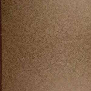 خرید و دانلود نسخه کامل کتاب A grammar of the Kwagiutl language