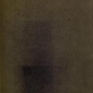 خرید و دانلود نسخه کامل کتاب A Grammar Of The Rong (Lepcha) Language As It Exists In The Dorjeling And Sikim Hills