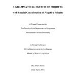 خرید و دانلود نسخه کامل کتاب A Grammatical Sketch of Soqotri: with Special Consideration of Negative Polarity