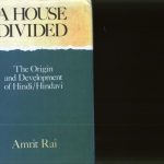 خرید و دانلود نسخه کامل کتاب A house divided : the origin and development of Hindi/Hindavi