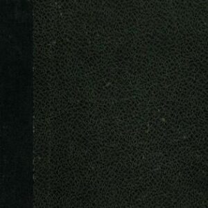 خرید و دانلود نسخه کامل کتاب A Magyar Rovásírás Hiteles Emlékei