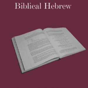 خرید و دانلود نسخه کامل کتاب A New Grammar of Biblical Hebrew