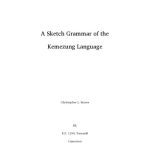 خرید و دانلود نسخه کامل کتاب A Sketch Grammar of the Kemezung Language