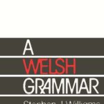 خرید و دانلود نسخه کامل کتاب A Welsh Grammar