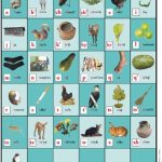 خرید و دانلود نسخه کامل کتاب Alfabeto ilustrado del Mam: Variante lingüística qyool mam (también conocida como bʼanax mam)