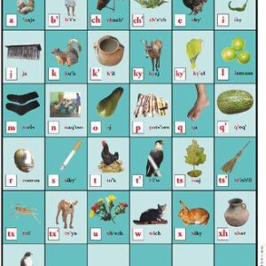 خرید و دانلود نسخه کامل کتاب Alfabeto ilustrado del Mam: Variante lingüística qyool mam (también conocida como bʼanax mam)