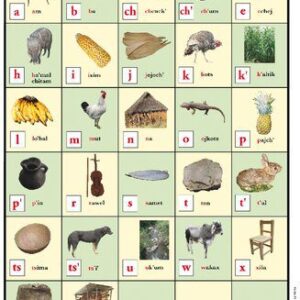 خرید و دانلود نسخه کامل کتاب Alfabeto ilustrado del tseltal. Variante lingüística batsʼil kʼop