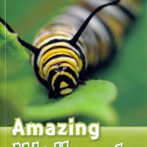 خرید و دانلود نسخه کامل کتاب Amazing Minibeasts: Read and Discover Level 3